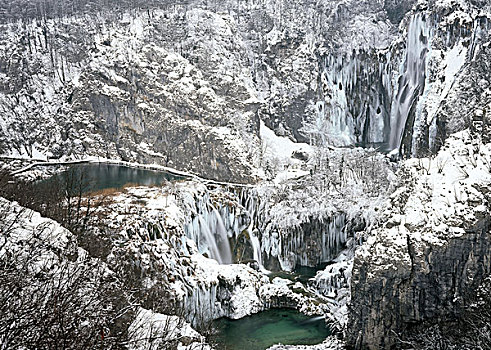 xs rong vang bach kim