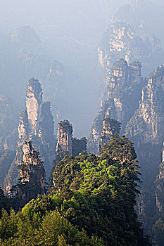 thong ke rong bach kim gio vang