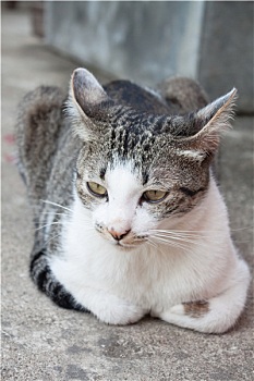 trang lô đề uy tín