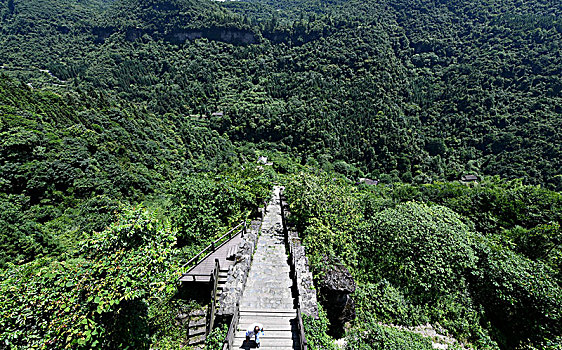 soi cau bac trung nam