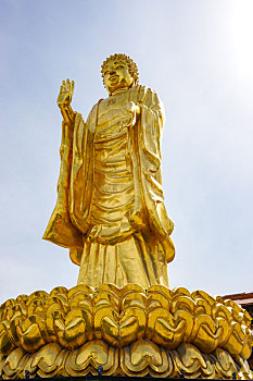 dự đoán 3 miền
