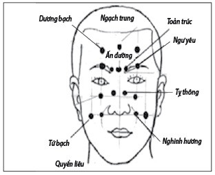An Huyet Vi