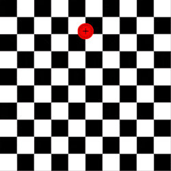 Bai Tap 11 Ezgif Com Resize